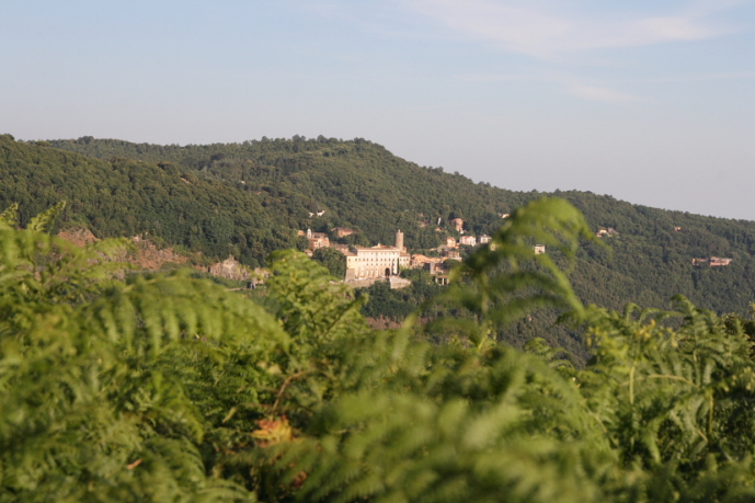 Biodiversit dei Castelli Romani:Le Piagge(Nemi)